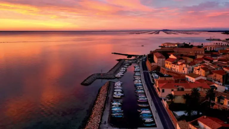 Design sans titre 2026 03 04T141114.321